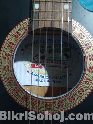 Guitar